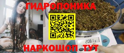винт Аша
